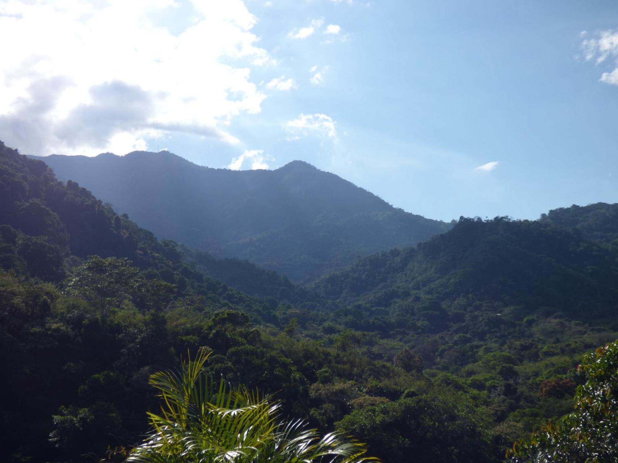 Hostal Alto De La Montana ミンカ エクステリア 写真