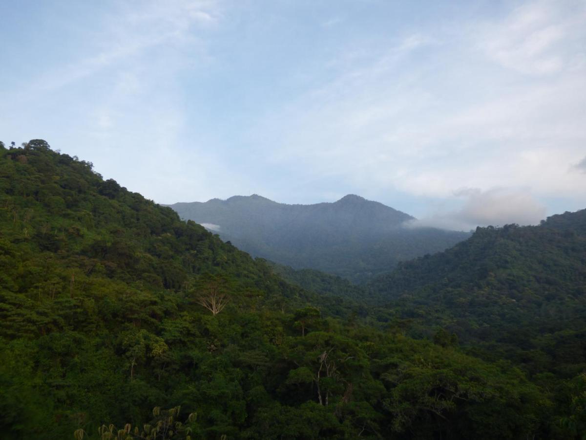 Hostal Alto De La Montana ミンカ エクステリア 写真